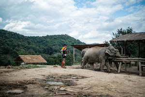 BIB: 
                            <button type="button" onclick="openModal(22423391)" class="btn btn-primary btn-sm float-right btn-popup" data-toggle="modal" data-target=".modal-high-quality">
                        <i class="fas fa-shopping-cart"></i> Add to Cart
                    </button>
                                            <button type="button" onclick="isThisMe(22423391, true)" class="btn btn-success btn-sm float-right btn-popup btn-isme hidden" data-toggle="tooltip" data-placement="bottom" title="นี่คือรูปของคุณใช่ไหม คลิกที่นี่เพื่อเอาเข้าอัลบั้ม">
                        <i class="fas fa-plus"></i> Add to album
                    </button>
                    <button type="button" onclick="isThisMe(22423391, false)" class="btn btn-warning btn-sm float-right btn-popup btn-isnotme hidden">
                        <i class="fas fa-ban"></i> Remove from album
                    </button>